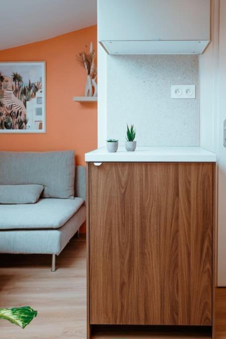 Appartamento Le Nid Douillet De L'Hypercentre Tolosa Esterno foto