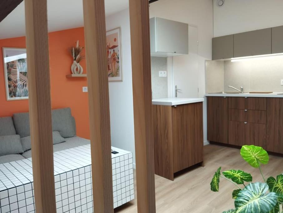 Appartamento Le Nid Douillet De L'Hypercentre Tolosa Esterno foto